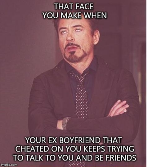 Robert Downey Jr Meme, Homeschool Humor, Robert Downey Jr., My Face When, Boyfriend Memes, Downey Junior, Memes Humor, Humor Memes, Ex Boyfriend