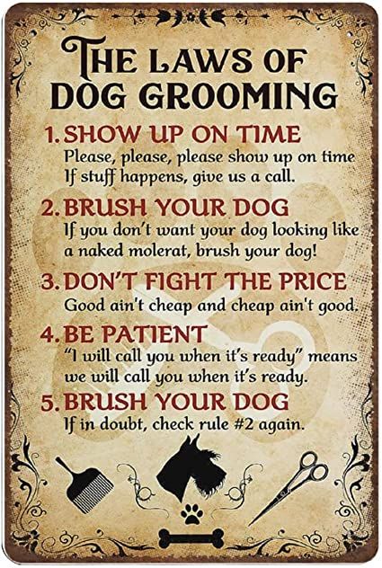 Dog Grooming Salon Decor, Pet Grooming Business, Pet Grooming Salon, Dog Grooming Shop, Dog Grooming Salons, Time Poster, Dog Grooming Tips, Dog Salon, Grooming Shop