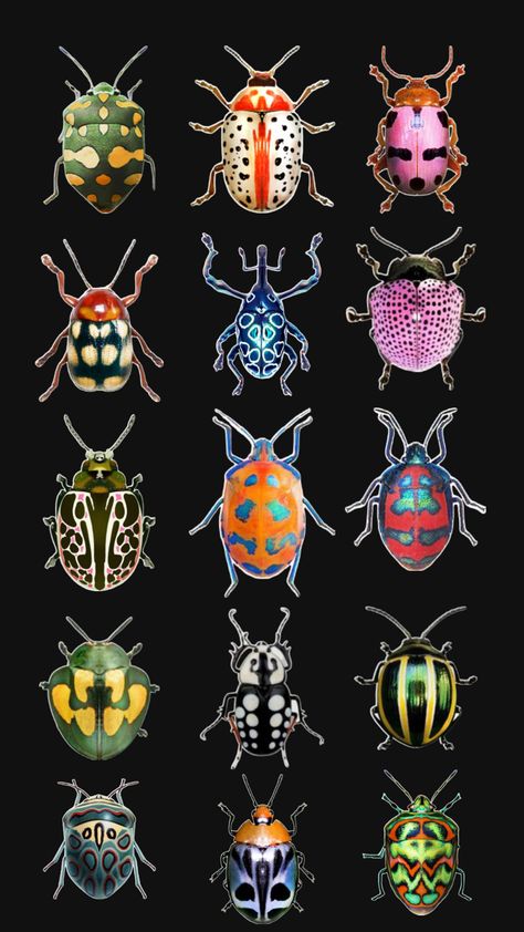 Insects, Glass, Animals, Art