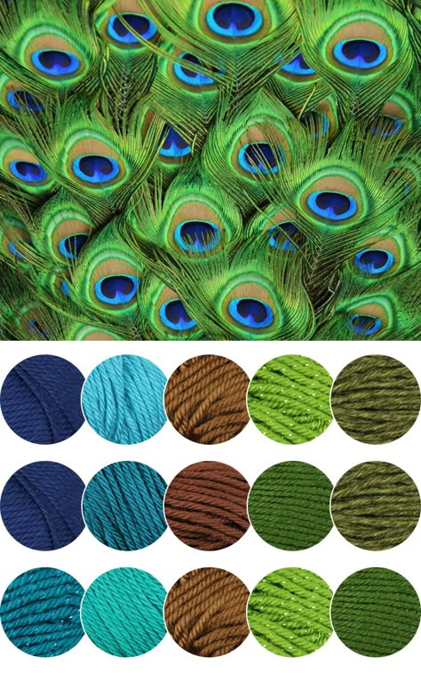 Peacock Color Inspiration Peacock Gown, Peacock Color Scheme, Peacock Crochet, Yarn Color Combinations, Peacock Colors, Peacock Color, Peacock Feathers, Peacocks, Colour Schemes