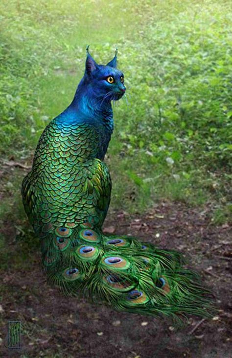 Imgur: The most awesome images on the Internet. Odd Artwork, Animal Mashups, Creature Fantasy, Kitty Art, Creative Mind, Mystical Creatures, Arte Fantasy, 판타지 아트, Magical Creatures