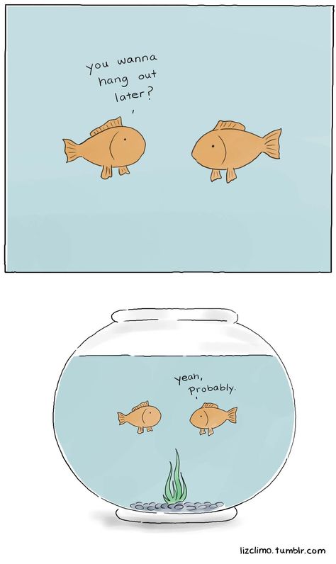 Liz Climo comics Liz Climo Comics, Animal Comics, Bd Comics, Friends Are Like, Need A Laugh, Cute Comics, Laughter Is The Best Medicine, Made Me Laugh, Laugh Out Loud