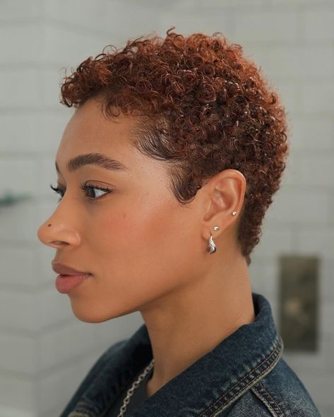 Embracing the ginger 🧡 Easy Layered Haircuts, Loreal Preference Hair Color, Ginger Pixie Haircut Black Women, Layered Haircuts Curly Hair, Fro Hairstyles, Curly Twa, Very Short Hair Styles, Updo Hairstyles For Medium Hair, Natural Hair Pixie Cut