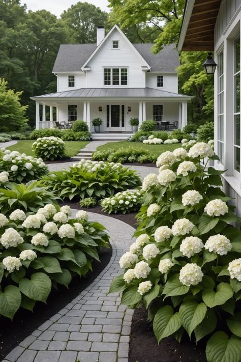 20 Hydrangea And Hostas Landscaping Combinations - Toolz Geek Front Porch Hydrangea Landscaping, Front Yard Hydrangea Landscaping Ideas, Front Yard Landscaping Ideas Hydrangeas, Plants On House Exterior, Container Garden Landscaping, Garden Design With Flowers, Traditional Home Landscaping Front Yards, Front Porch Yard Landscaping, Landscapes With Hydrangeas