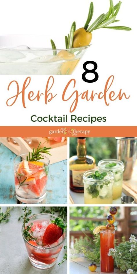 Take your summer cocktails to the next level by becoming a gartender and adding garden-inspired flavours to your beverages this season. These herbal cocktail recipes use ingredients fresh from the garden for a new twist on some classic drinks. #gardentherapy #gartending #herbcocktails #recipes #drinks Herbal Cocktails, Herbs Recipes, Herb Drink, Cocktail Garden, Mixology Recipes, Garden Cocktail, Classic Drinks, Garden Therapy, Cocktails Recipes