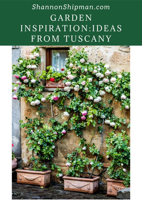 Looking for some inspiration for your Garden Design? Take a look at these beautiful photos from Tuscany that show you container garden ideas, stunning garden flowers and more! #Garden #Gardening #tuscany #tuscangarden Italian Garden Style, Italian Gardens Courtyard, Toscana Garden Design, Medatrainian Garden Ideas, Italian Garden Aesthetic, Tuscany Courtyard, Tuscan Gardens Landscape, Mediterranean Container Garden, Tuscan Courtyard Garden