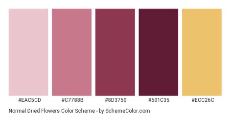 Normal Dried Flowers Color Scheme ... Hexadecimal Color, Brown Color Schemes, Flowers Color, Colors Palette, Red And Yellow, Yellow Color, Color Palettes, Color Scheme, Pink Red