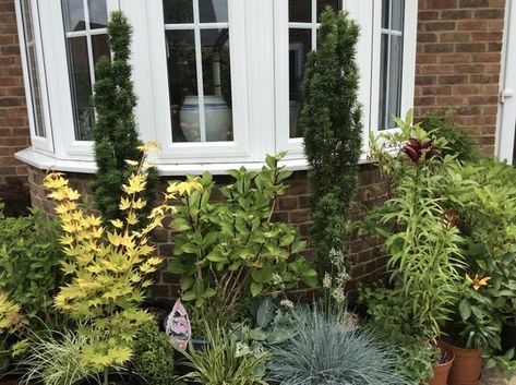 front garden ideas : Pots under the dining room window. Plants Under Window Outside, Garden Bed Under Window, Under Window Garden, Plants Under Window, Bay Window Garden, Garden Window Ideas, Front Garden Ideas, Dining Room Window, Small Front Gardens