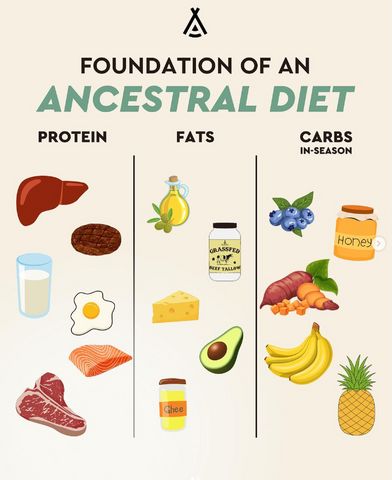 How to Track Your Carnivore Diet Macros for The Best Results - Ancestral Supplements Ancestral Diet, Healthy Food Chart, Ancestral Nutrition, Autoimmune Paleo Recipes, Carnivore Diet, Food Charts, Keto Food List, Protein Diets, Grass Fed Beef