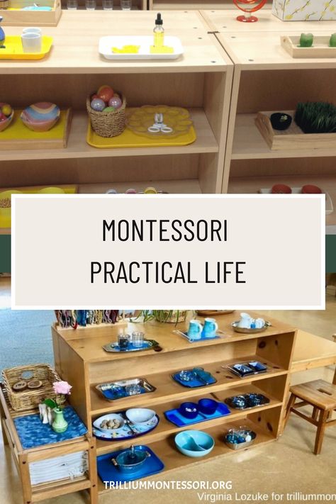 Montessori ‘Practical Life’ activities focus on the care of the child’s own person (personal dressing and grooming), care of the environment (cleaning, caring for plants and pets, preparing food), development of fine and gross motor skills, and learning courteous behavior and conflict resolution. The Benefits of Practical Life Independence, Confidence, and Self-Care The activities of […] Practical Life Kindergarten, Montessori Life Skills Activities, Ocean Practical Life Montessori, Practical Life Water Activities, Montessori Practical Life Toddlers, Montessori Primary Activities, Preschool Life Skills Activities, Practical Life Activities Preschool, Montessori Practical Life 3-6 Activities