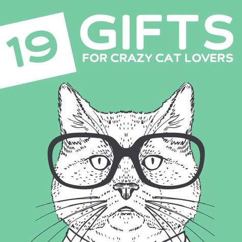 19 Funny Gifts for Cat Lovers- a.k.a Crazy Cat Ladies (and guys). Unusual Gifts For Men, Crazy Cat Lady Gifts, Cat Tent, Gifts For Cat Lovers, Cat Lady Gift, Gag Gifts Funny, Cat Accessories, Cat Decor, Crazy Cat