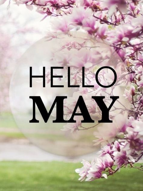 Hello May  month may quotes hello may welcome may may images may image quotes New Month Greetings, Hello May Quotes, New Month Wishes, Neuer Monat, Birthday Month Flowers, Welcome May, Psychic Predictions, May Quotes, 1. Mai