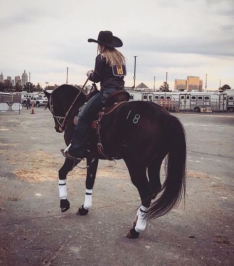 Barrel Racing Aesthetic, Barrel Racing Photography, Blm Mustang, Pictures With Horses, Cute Horse Pictures, Barrel Racing Horses, Palomino Horse, Rodeo Horses, Mustang Horse