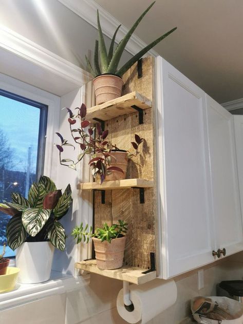 Plant Shelf Above Kitchen Sink, Kitchen Backsplash Storage, Kitchen Sink Window Shelf, Kitchen Wall Shelves Ideas, Plant Shelf In Front Of Window, Kitchen Wall Storage Ideas, Rental Friendly Decor, Shelves Kitchen Wall, Window Plant Shelves