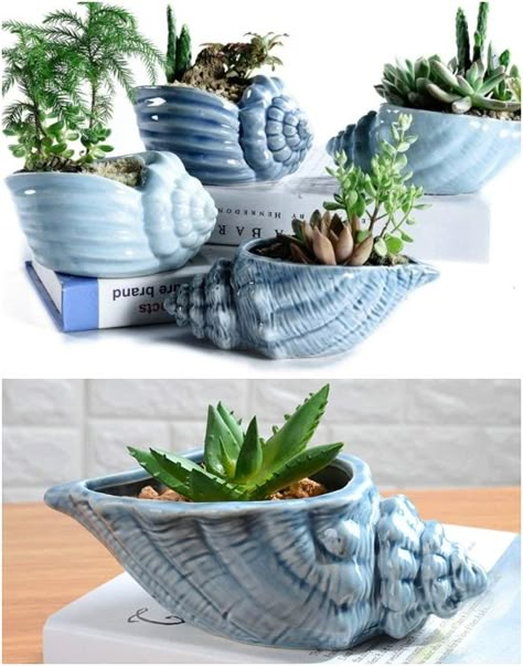 Set of mini seashell planter pots Planter Pot Ideas, Planter Ideas Diy, Garden Planter Ideas, Garden Planning Layout, Coastal Garden, Art Coquillage, Landscaping Simple, Coastal Theme, Ceramic Planter Pots