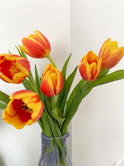 Tulip Bridal Bouquet, Red And Yellow Tulips, Single Tulip, Floral Art Paintings, Collection Board, Tulips Arrangement, Flowers Tulips, Bag Inspiration, Orange Tulips