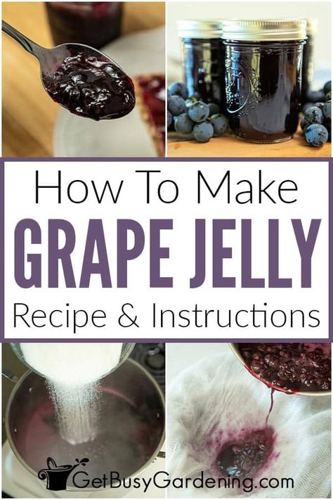 This is an easy and delicious recipe for homemade grape jelly that's so much better than store-bought! Learn how to make this simple grape jelly recipe in a few basic steps, and only 3 ingredients. You don’t need fancy equipment either. You will never taste a better grape jelly than this! You will have people asking you for more after they taste it, I promise! In this article, you will learn everything you need to know to make it, store it, and use it (on more than just your breakfast toast). Best Grape Jelly Recipe, Low Sugar Grape Jelly Recipe, Grape Jelly Recipe No Pectin, Concord Grape Recipes, Grape Jelly Recipe, Grape Jam Recipe, Homemade Grape Jelly, Concord Grape Jelly, Canning Jam Recipes