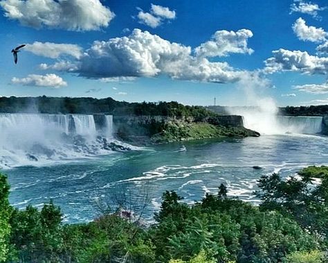 Visiting Niagara Falls, Niagara Falls Ontario, Niagara Falls Canada, Honeymoon Spots, Most Romantic Places, Victoria Park, Places Of Interest, Tourist Destinations, Aerial View