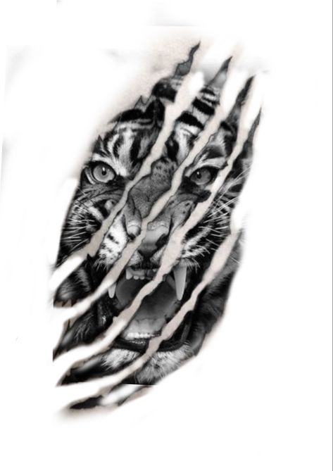 Animal Tattoos For Men Sleeve, Tiger Tattoo Design Men Chest, Tiger Tattoo Design Men, Tiger Chest Tattoo, Tiger Claw Tattoo, Tiger And Face Tattoo, Tiger Growling Tattoo, Half Tiger Face Tattoo, Scratch Tattoo