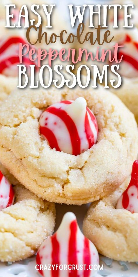 Peppermint Blossom Cookies are a pudding cookies recipe turned into a blossom cookie complete with a peppermint kiss on top! The cookies are flavored with white chocolate, which pairs perfectly with the peppermint. Peppermint Blossoms, Peppermint Kiss Cookies, Kisses Cookies, Peppermint Kisses, Chocolate Pudding Cookies, Pudding Cookies Recipes, Xmas Recipes, White Chocolate Peppermint, Crazy For Crust