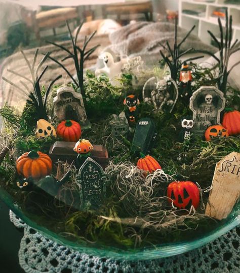 Halloween Diorama, Diy Succulent Terrarium, Mini Diy, Air Plant Terrarium, Halloween Miniatures, Halloween Goodies, Autumn Crafts, Glass Pumpkins, Succulent Terrarium