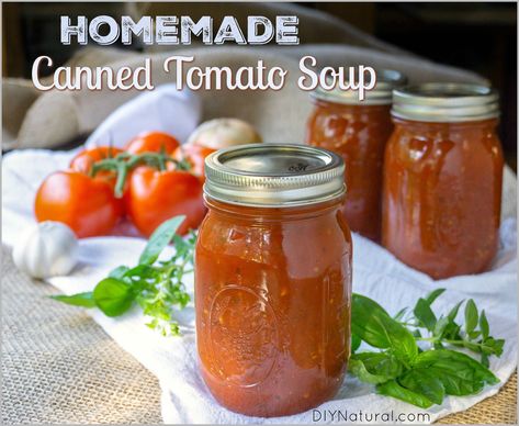 Canning Tomato Soup, Homemade Tomato Soup Recipe, Fresh Tomato Soup, Condensed Tomato Soup, Tomato Soup Homemade, Canned Tomato Soup, Tomato Soup Recipe, Roasted Tomato Soup, Tomato Basil Soup