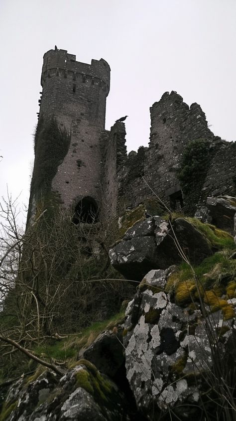 "Ancient Towering Castle: A #towering #medieval #castle ruin standing solemnly amidst overgrown vegetation under a cloudy, somber #sky. #ruins #historic #towers #aiart #aiphoto #stockcake ⬇️ Download and 📝 Prompt 👉 https://stockcake.com/i/ancient-towering-castle_862025_329113" Overgrown Castle, Overgrown Ruins, Medieval Ruins, Ruined Castle, Music Flower, Medieval Tower, Medieval Aesthetic, English Castles, I Want To Live