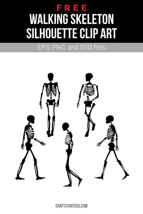 Walking Skeleton, Skeleton Silhouette, Silhouette Clip Art, Skeleton Art, Png Transparent, Skeleton, Walking, Clip Art, Illustrations