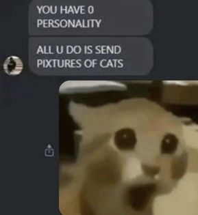 You have zero personality, all you do is send pictures of cats. Cat react Goofy Cats, Honest Reaction, Silly Cats Pictures, Sparks Joy, Silly Images, Silly Animals, Silly Pictures, Nalu, Funny Cute Cats