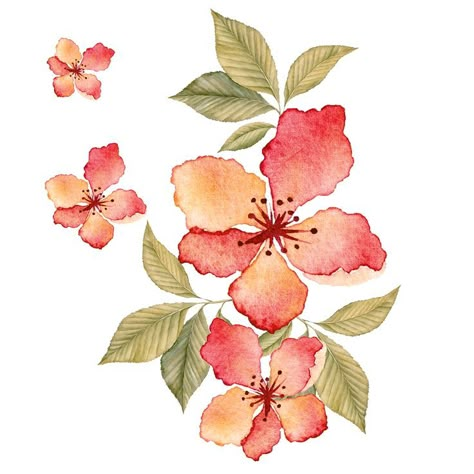 #flowers pattern #vector #painted #paint #ink #ink flower Flowers Bunch Drawing, Water Colour Flower Bunch, Water Colour Flower Design, Water Paint Flowers, Mughal Art Paintings, Beautiful Flower Drawings, Watercolor Paintings Nature, Botanical Flower Art, Mughal Paintings