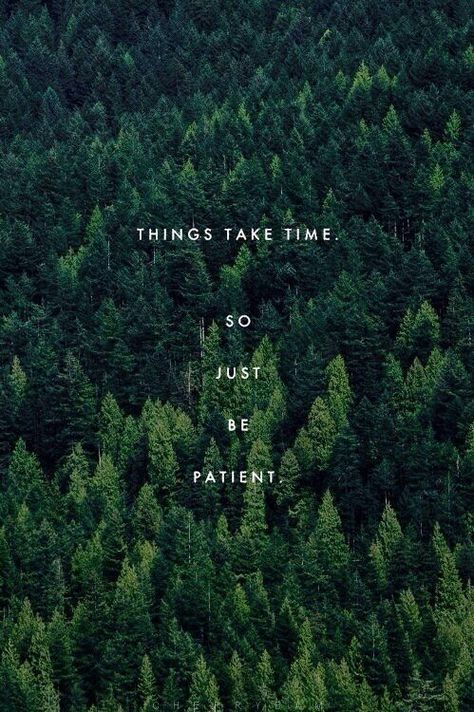 Things take time. So just be patient. Forest Bathing, Be Patient, Take Time, The Words, Great Quotes, Beautiful Words, Inspirational Words, Cool Words, Wise Words