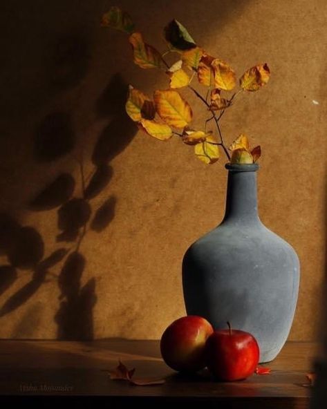 Fall Still Life Photography, Autumn Still Life Photography, Autumn Still Life, Photo Study, Still Life Artists, Painting References, Hello September, Still Life Photos, Autumn Colors