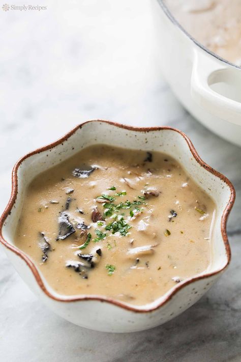 Creamy wild mushroom soup made with dried wild mushrooms, fresh mushrooms, shallots, garlic, stock, cream, sherry, and herbs. So wonderfully mushroomy! Perfect for a special occasion. On SimplyRecipes.com Creamy Wild Mushroom Soup, Morel Mushroom Soup Recipes, Morel Mushroom Soup, Dried Mushroom Soup Recipes, Dried Mushroom Soup, Mushroom Shallot, French Mushroom, Limoncello Cheesecake, Wild Mushroom Soup