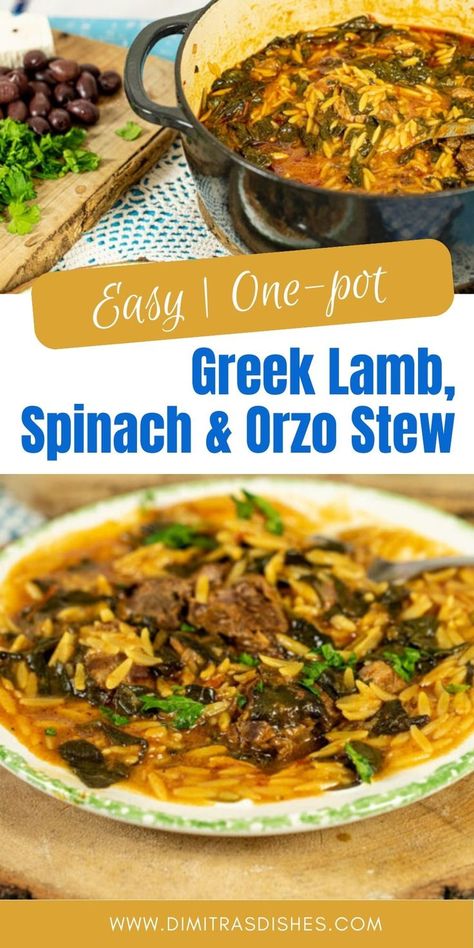 The perfect blend of lamb, spinach, orzo, and lemon, all in one pot with classic Greek flavors Greek Lamb Stew Recipes, Easy Greek Dinner, Lamb And Orzo, Agape Greek, Spinach And Orzo, Spinach And Rice, Stew Slow Cooker, Food Mediterranean, Spinach Orzo