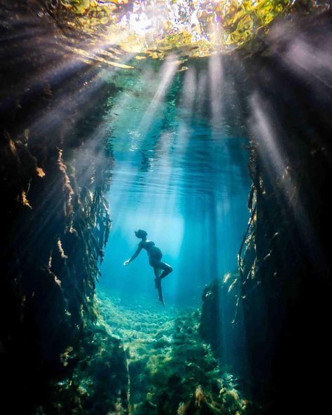 That feeling when your underwater maternity photoshoot dreams become reality. ✨⁠ ⁠ Thank you to the beautiful soon-to-be mama, @laurawagner__⁠ for trusting me for your special shoot. 🤍⁠ ⁠ ⁠ ⁠ #maternityphotoshoot #underwatermaternity #cenotes #underwaterphotoshoot #mexicancenotes #cancunphotographer #underwaterportraits #mermaidphotoshoot #mermaidphotographer #cenoteportraits Underwater Pregnancy Photos, Under Water Maternity Pictures, Mermaid Maternity Shoot, Hawaii Maternity Shoot, Underwater Maternity Shoot, Underwater Maternity Photography, In The Year 2525, Mermaid Photo Shoot, Maternity Photography Beach