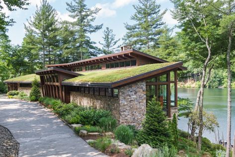 Lake Toxaway, Project House, Earth Sheltered, Mcm House, Conceptual Architecture, Mid Century Architecture, Modern Cabin, Eco House, Forest House