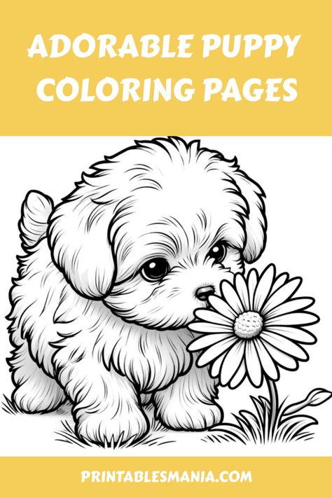 Discover a variety of adorable puppy coloring pages for kids and adults! These cute and easy-to-print free printable designs are perfect for unleashing your creativity. Whether you're a beginner or an experienced colorist, these aesthetic puppy coloring pages will provide hours of relaxing entertainment. Get your colored pencils ready and dive into the world of fluffy puppies today! Printable Puppy Coloring Pages, Puppy Printables Free, Puppy Coloring Pages Free Printable, Dog Pictures To Color, Cute Puppy Coloring Pages, Free Dog Coloring Pages, Dog Coloring Pages Free Printable, Cute Dog Coloring Pages, Fluffy Pomeranian