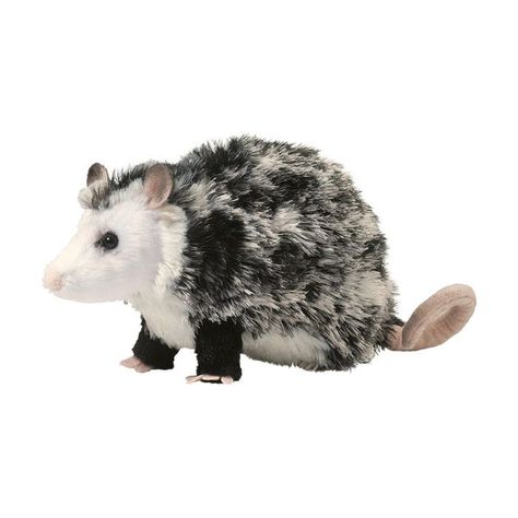 Possum Plush, Opossum Plush, Sweet Personality, Play Pretend, Dragon's Lair, Pink Toes, Soft Boy, Racoon, Kids Play