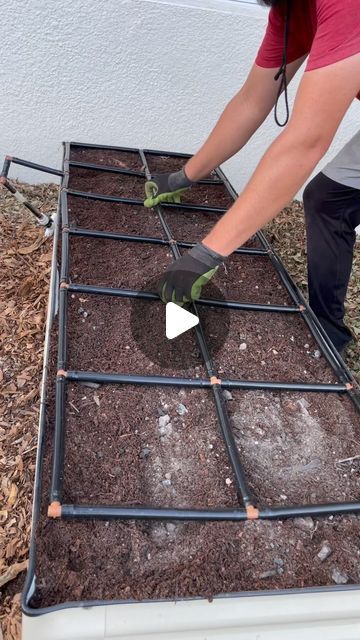 Raised Garden Beds Layout Veggies, Garden Bed Watering System, Garden Grid, Garden Bed Layout, Garden Area, Big Garden, Pollinator Garden, Raised Bed, Spoiler Alert