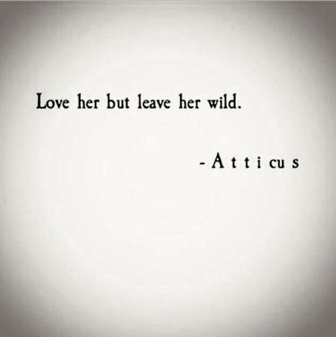 Love her wild ♥ Nothing Like Home Quotes, Love Her Wild, Leave Her Wild, Hippie Quotes, Witch Stuff, Words Love, Heck Yeah, Happy Hippie, Atticus