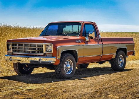 Chevy Dually, Car Hub, Datsun Pickup, Vintage Chevy Trucks, Single Cab Trucks, C10 Chevy Truck, Mud Trucks, Chevy Pickup Trucks, Chevrolet Pickup