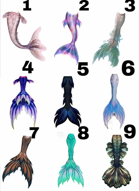 Beautiful Mermaid Tails Drawing, Different Types Of Mermaid Tails, Mermaid Outfit Ideas Drawing, Mermaid Tail Types, Mermaid Tail Colors, Mermaid Tails Drawing, Mermaid Tail Ideas, Mermaid Tail Designs, Mermaid Anatomy