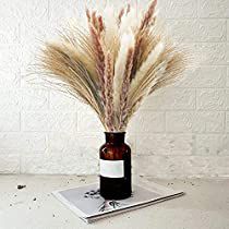 Check this out at Amazon Brown Pampas, Floor Vase Fillers, Farmhouse Vase, Natural Dried Flowers, Grass Decor, Pampas Grass Decor, Wedding Wall Decorations, Rustic Fall Decor, Feather Decor