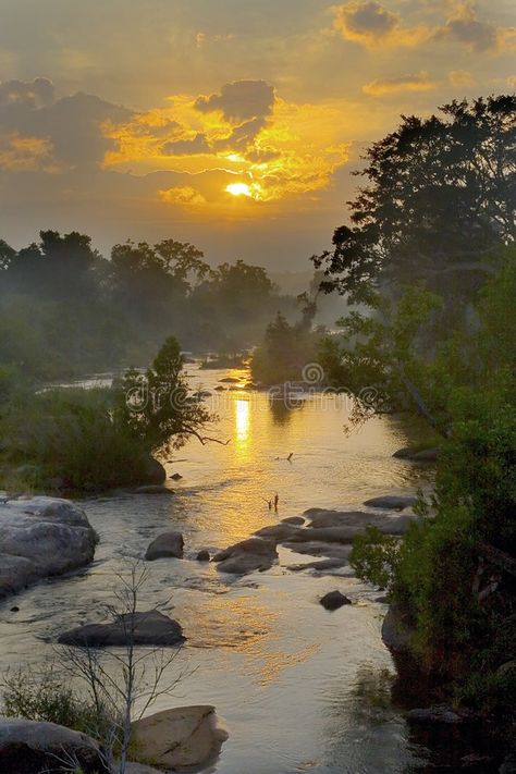 Africa Sunrise, Brazil Rainforest, Misty Sunrise, River Photography, Natural Background, Lake Landscape, Beautiful Backdrops, Seascape Paintings, Fish Art