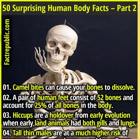 knowledge education youshouldknow humanbody health science bizarre rare weird strange Funny True Facts, Mind Blowing Thoughts, Interesting Facts About Humans, Google Facts, Epic Facts, Odd Facts, Body Facts, Forbidden Knowledge, Human Body Facts