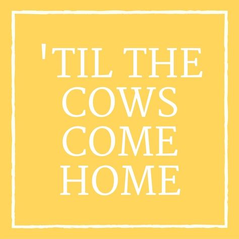 'Til the Cows Come Home Southern Talk, Til The Cows Come Home, Southern Phrases, Southern Belle Secrets, Southern Slang, Cowgirl Quote, Slang Phrases, Hunting Quotes, Southern Sayings