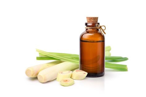 Lemongrass essential oil extract in ambe... | Premium Photo #Freepik #photo #leaf #medical #spa #grass Lemon Grass Essential Oil, Paint Booth, Lemongrass Oil, Amber Bottles, Lemongrass Essential Oil, Dropper Bottles, Hot Sauce Bottles, Lemon Grass, Premium Photo