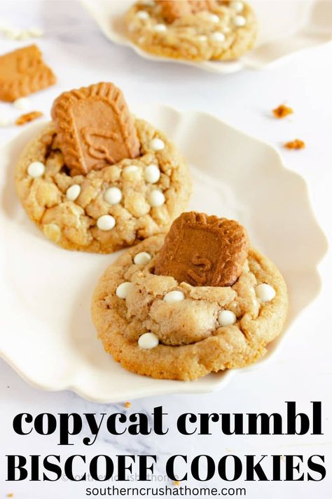 Copycat Crumbl Biscoff Cookies, Crumbl Biscoff Cookie Recipe, Crumbl Cookie Copycat, Biscoff Cookie Recipe, Biscoff Recipes, Basic Cookies, Biscoff Cookie Butter, Biscoff Cookies, Cookie Crumbs