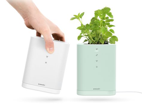 Sprout Smart Planter Garden Planter Design, Planter Design Ideas, Smart Planter, Micro Garden, Modern Gadgets, Planter Project, Smart Garden, Plant Table, Planter Design