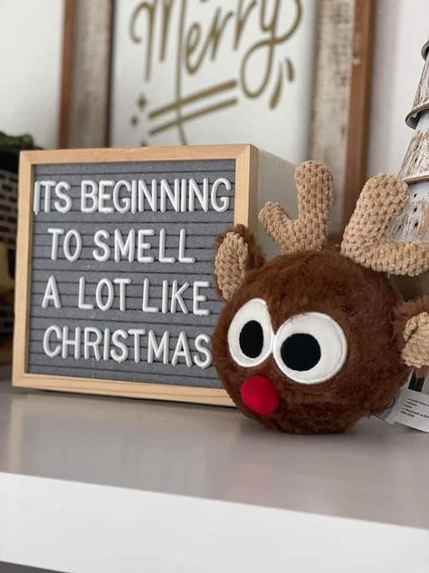 Brain Surgery Survivor, Scentsy Christmas, Reindeer Cute, Selling Scentsy, Scentsy Consultant Ideas, Scentsy Business, Smells Good, Scentsy Scent, Morning Quotes Funny